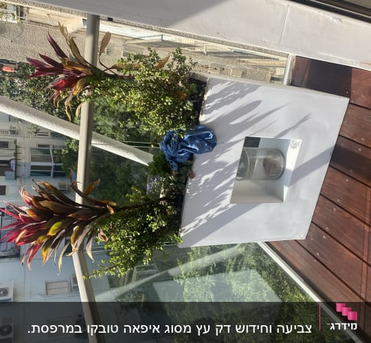 עציץ עם צמחים על רצפת עץ במרפסת